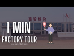 Entdecken Sie Asiens größte Bleisäure-Autobatterie-Fabrik in gerade 1 Minute