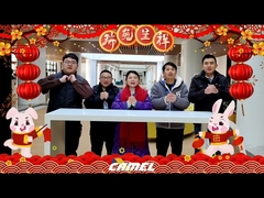 GLÜCKLICHES CHINESISCHES NEUJAHRSFEST